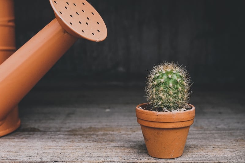 Handmade planters